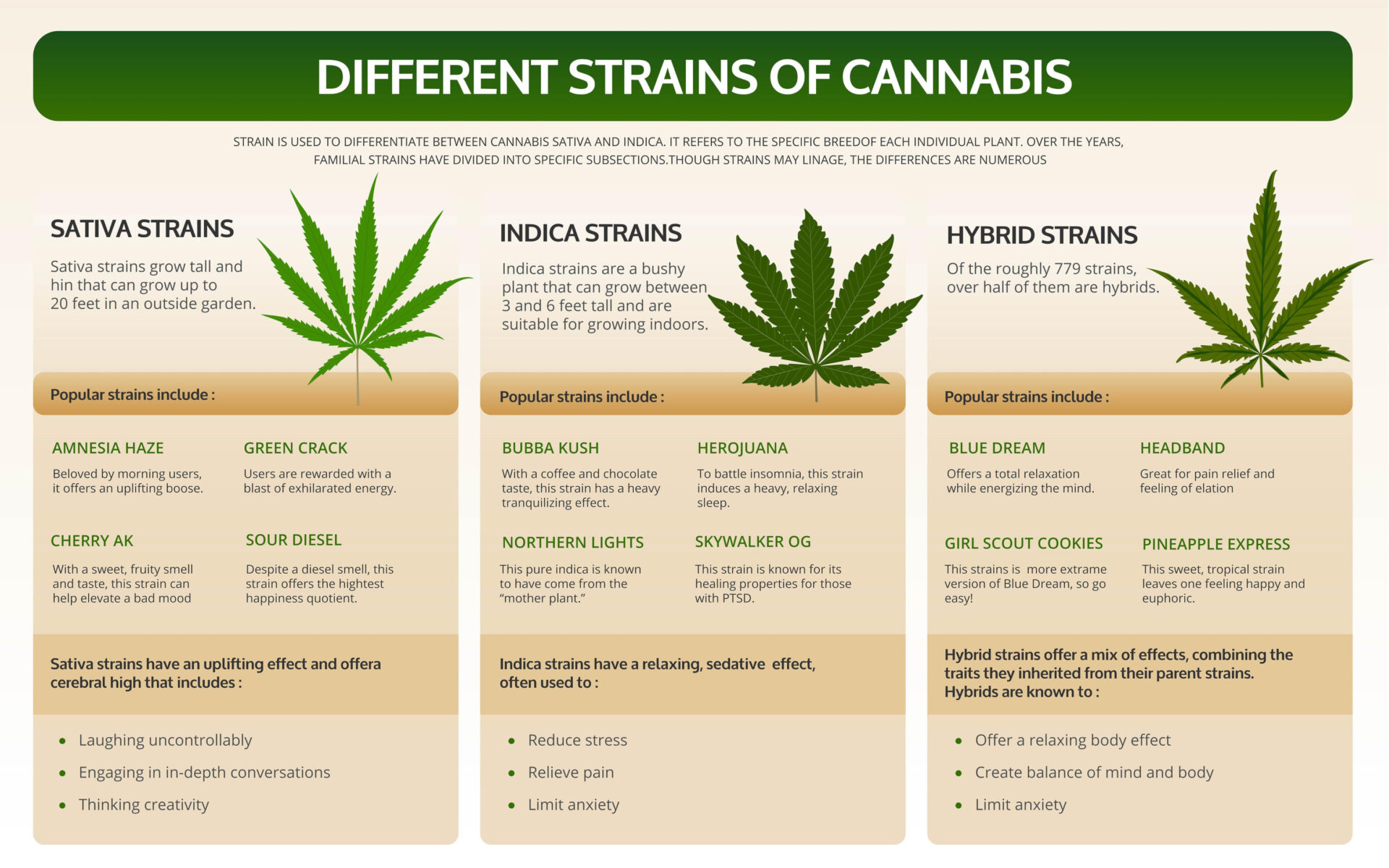 cannabis strains